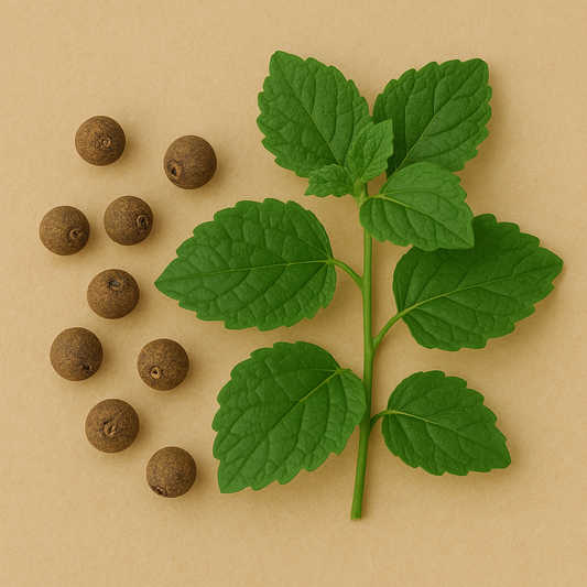 Pimento & Patchouli